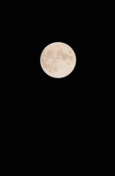 満月 のコピー.jpg