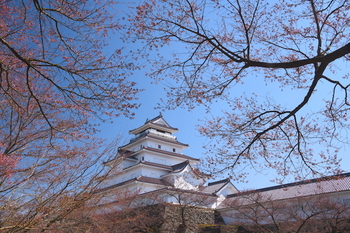 鶴ヶ城 のコピー.jpg